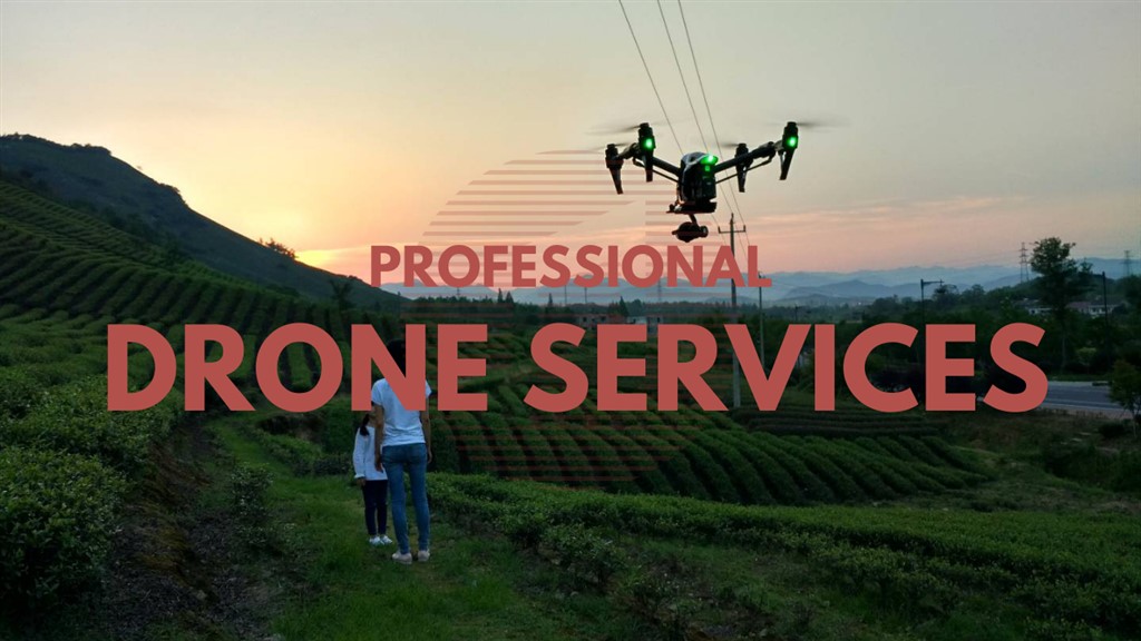 Drone Services in China